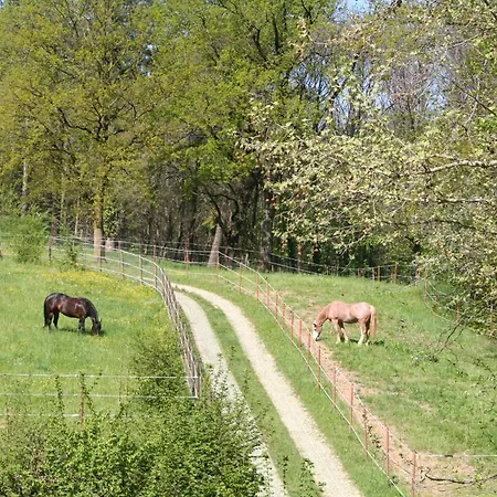 B&B La Casa Di Campagna-2
